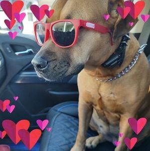 Meet your Posher, Kym